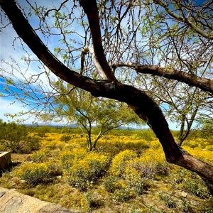 Meet your Posher, Adrianne